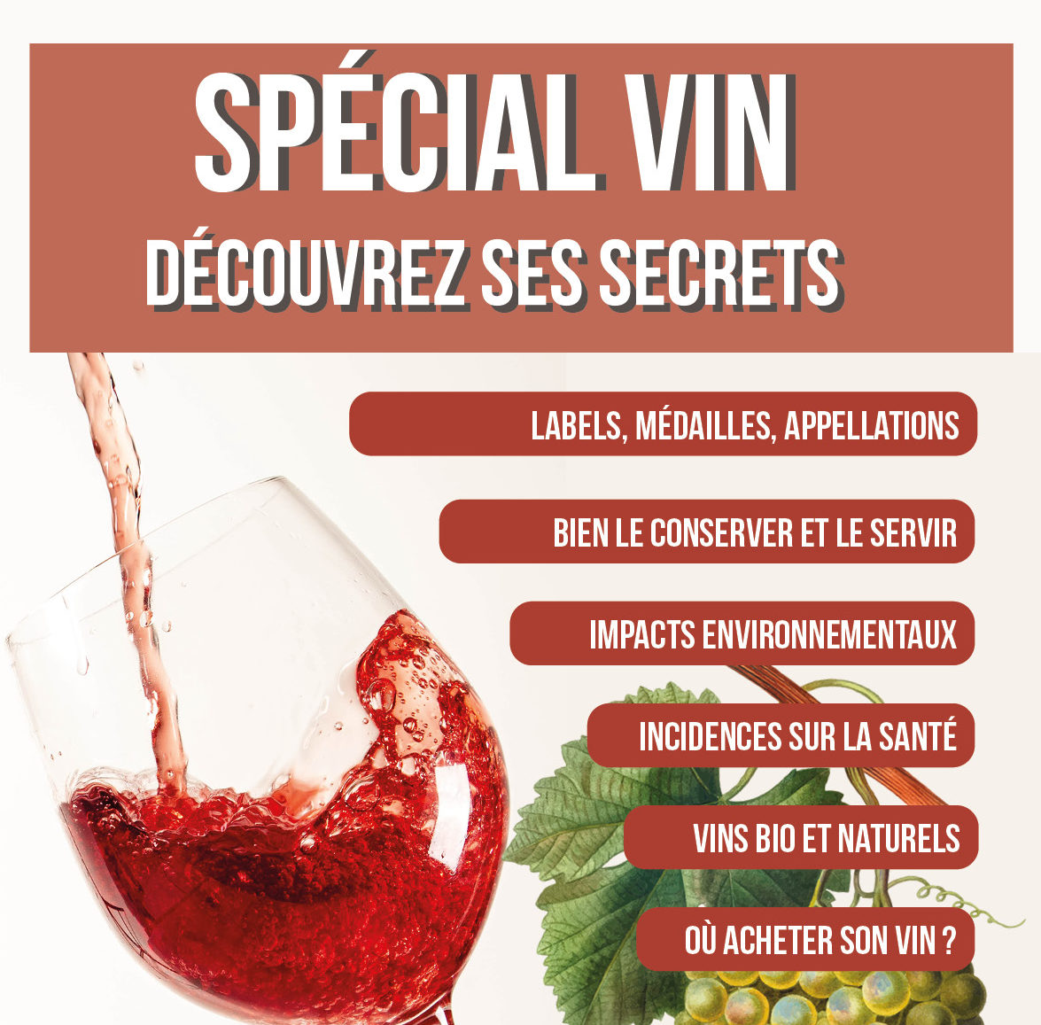 les secrets du vin