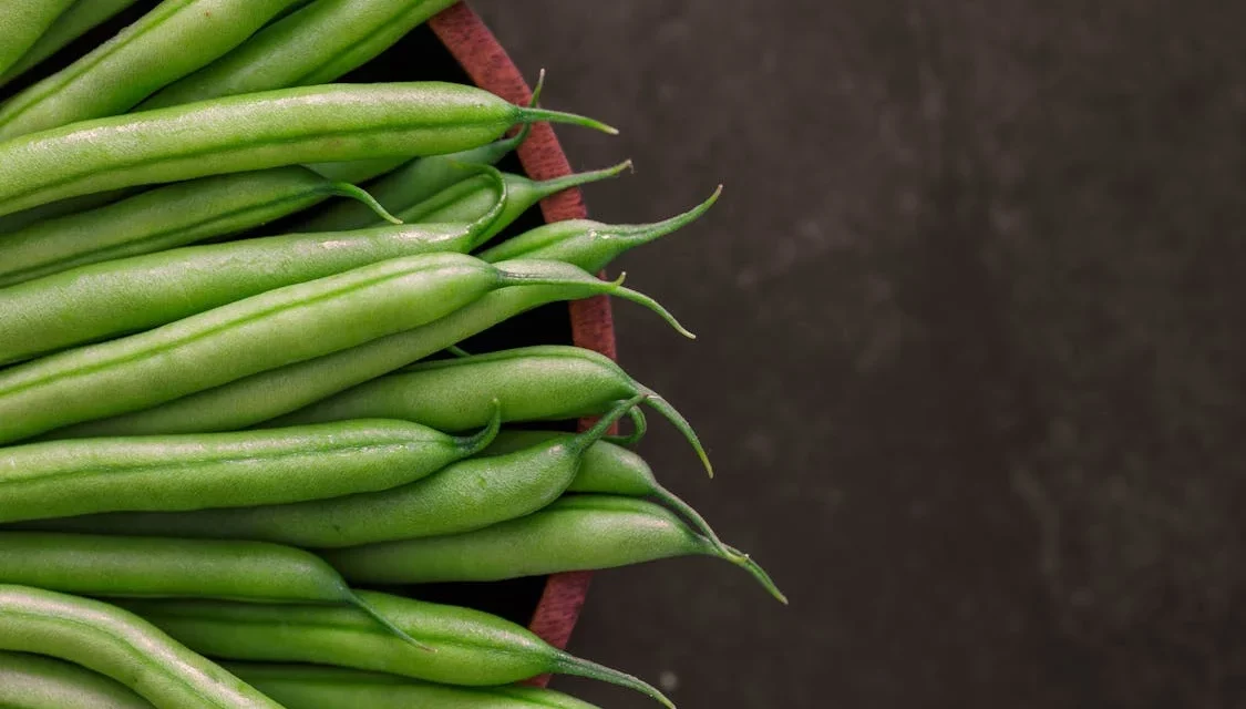 haricot vert