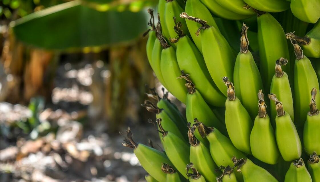 banane
