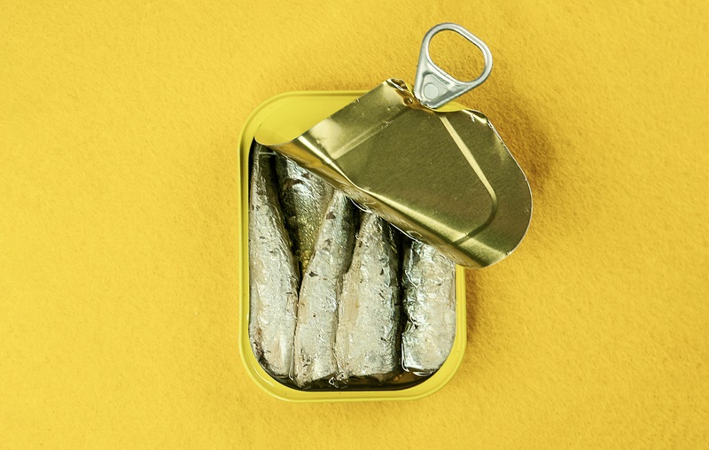 sardine