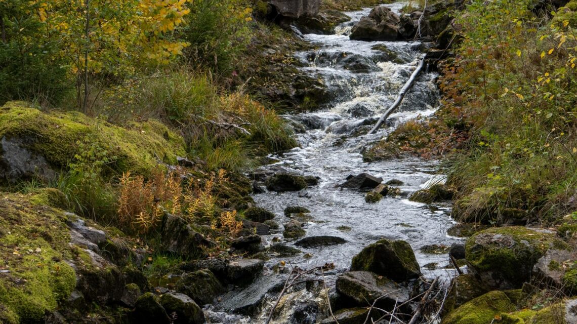 eau SDEA